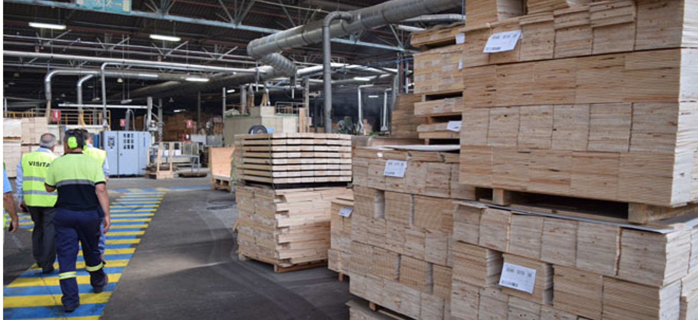 Diseño y desarrollo herramienta de Optimización de Pricing